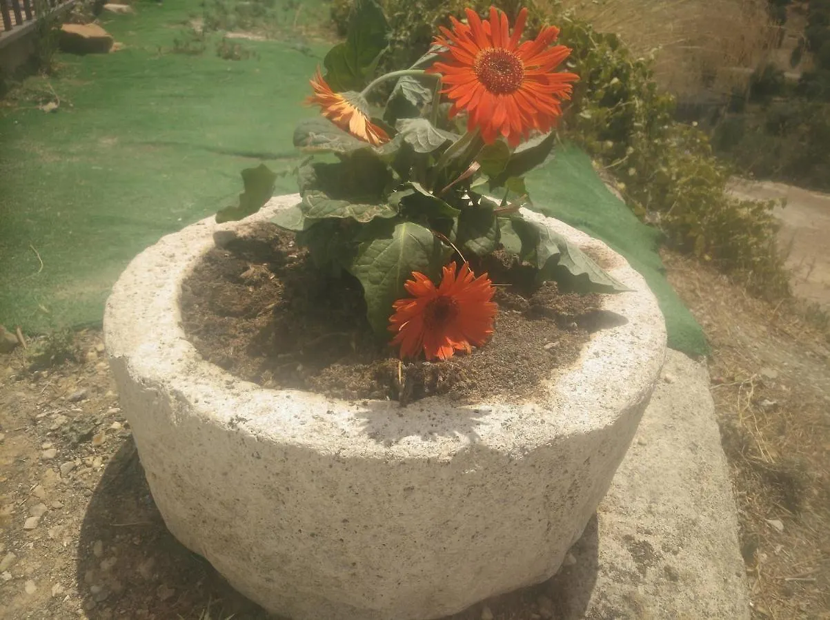 Alojamiento Rural El Yate Villa Montefrio